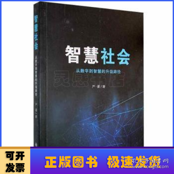 智慧社会(从数字到智慧的升级路径)