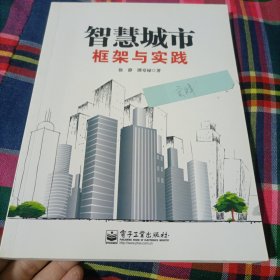 智慧城市：框架与实践