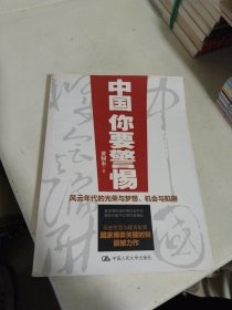 中国你要警惕 ：风云年代的光荣与梦想、机遇与陷阱
