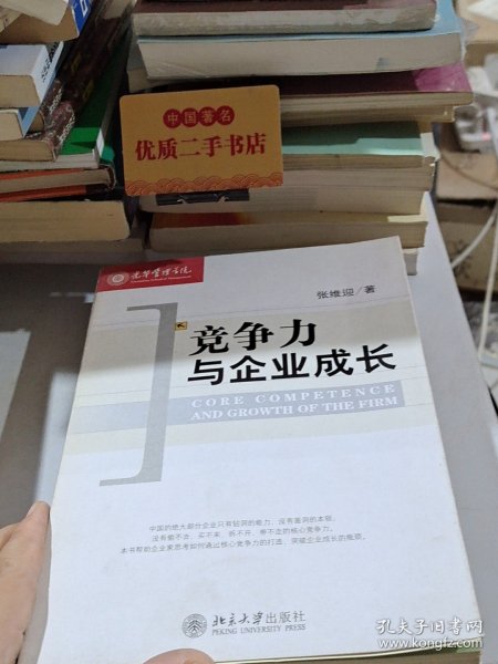 竞争力与企业成长