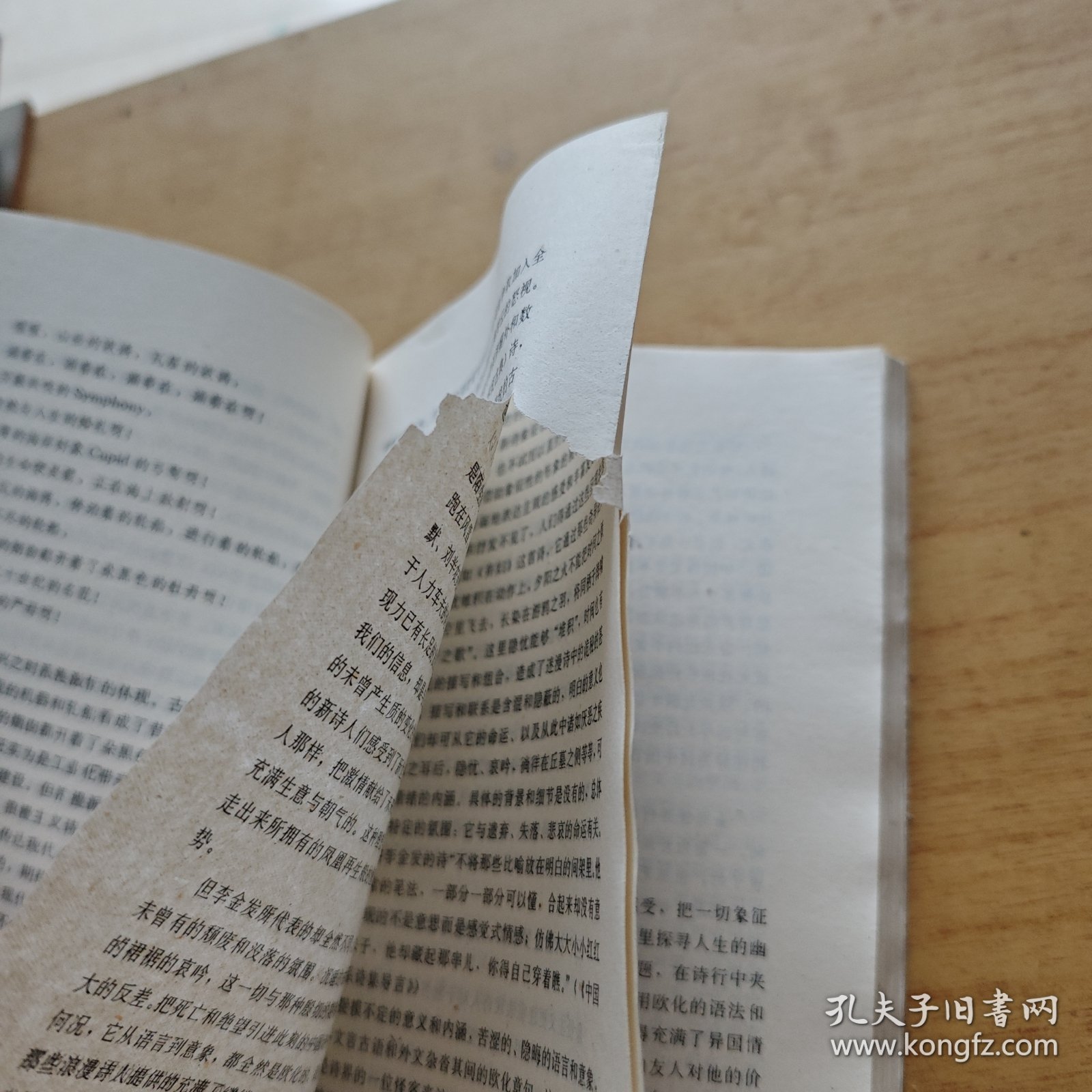 新世纪的太阳