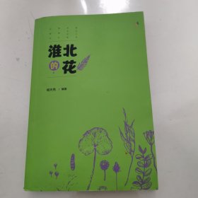 淮北的花