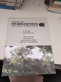 世界茶树原产地中国云南百坐古茶山古茶树及民族茶俗