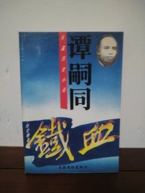 谭嗣同:长篇历史小说（下册）