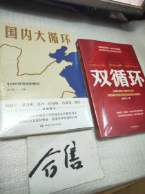 国内大循环