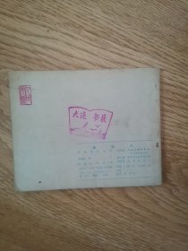 岳传之十一:杨再兴