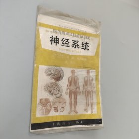 神经系统