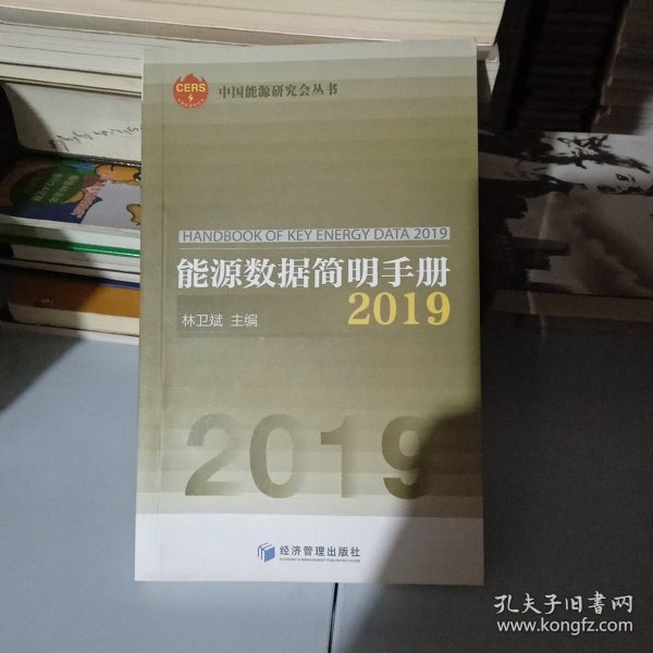 能源数据简明手册2019