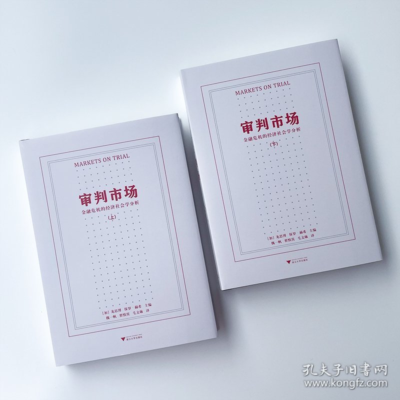 审判市场(金融危机的经济社会学分析上下)(精)