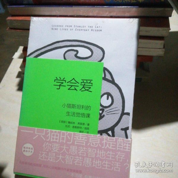 学会爱：小猫斯坦利的生活觉悟课