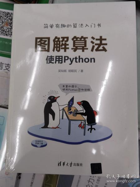 图解算法——使用Python