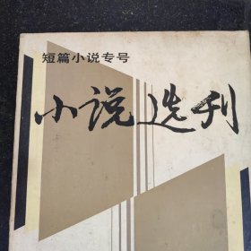 小说选刊杂志一本，有：小说选刊创刊百期纪念号，周克芹《秋之惑》陈世旭《圣人余自悦正传》何士光《日子》阎连科《雪天里》刘以鬯《为什么在路边哭泣》许谋清《土枪 牛虱子 吴先生》雷达《动荡的低谷》何镇邦《现实主义艺术之树常青》