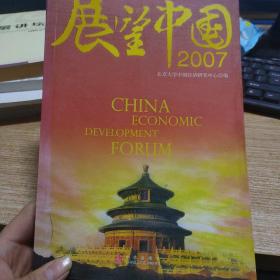 展望中国2007