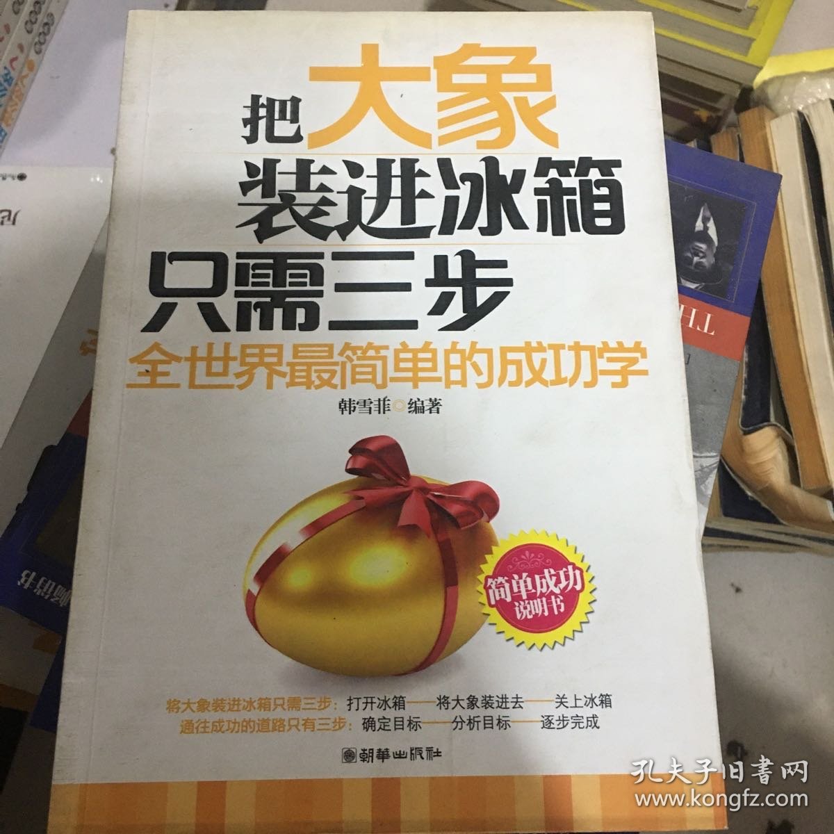 把大象装进冰箱只需三步：全世界最简单的成功学