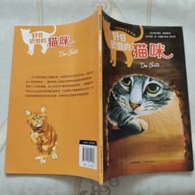 奇妙的自然系列：好奇骄傲的猫咪