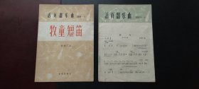 活页器乐曲【2本合售】