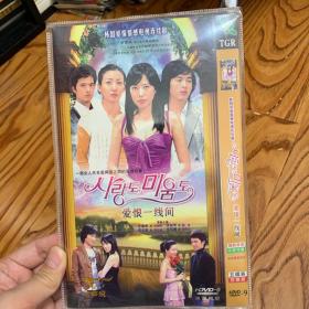 韩剧 爱恨一线间DVD