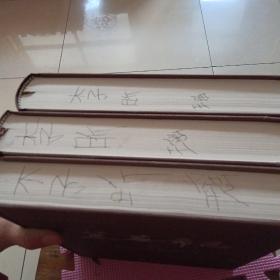 莱芜市志（上中下）全三册