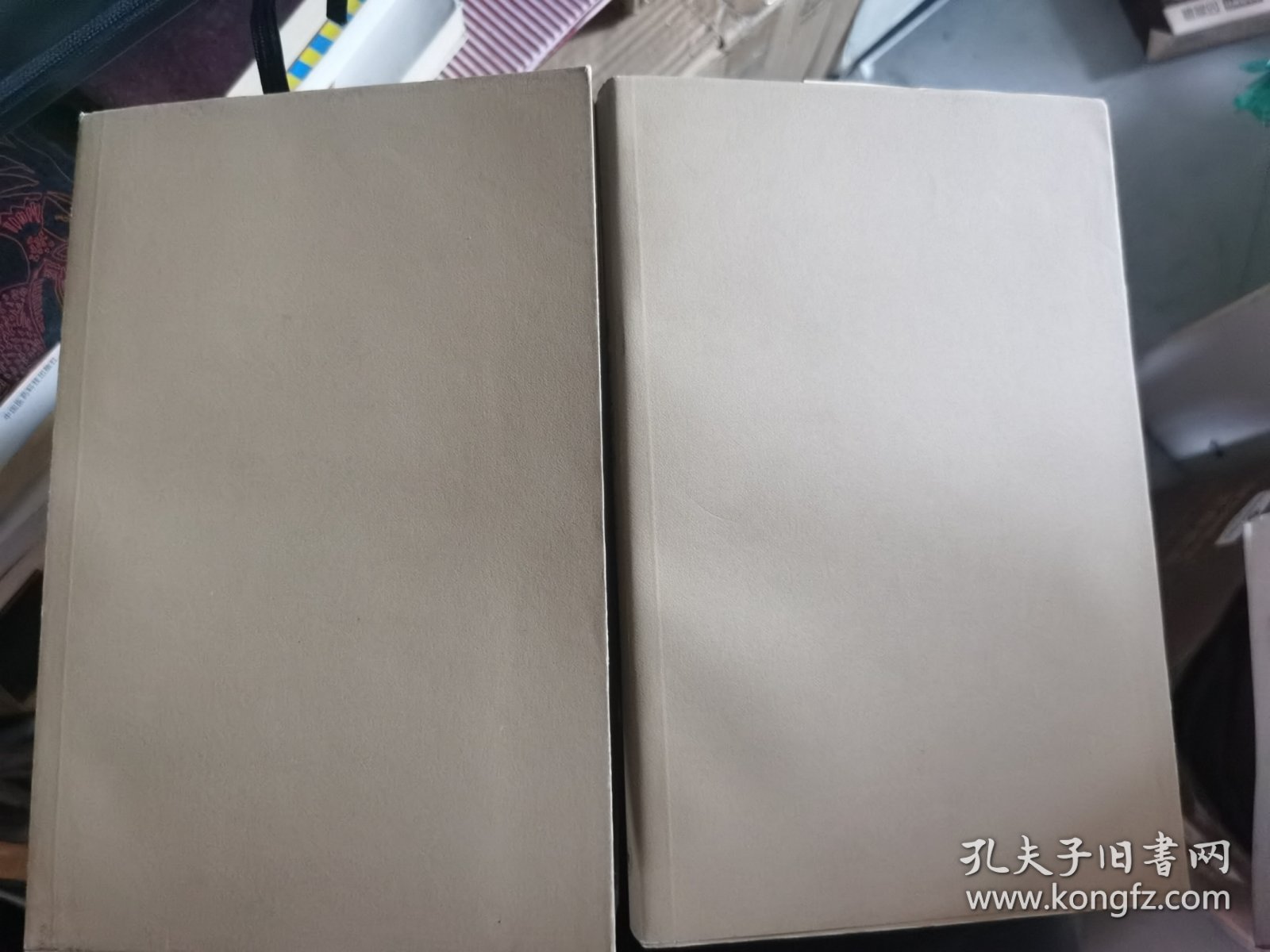 柳如是别传（中下册）