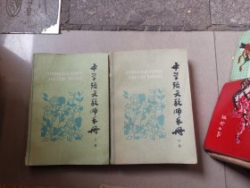 中学语文教师手册上下册