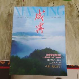 《咸宁》画刊，总第32期，2020.12