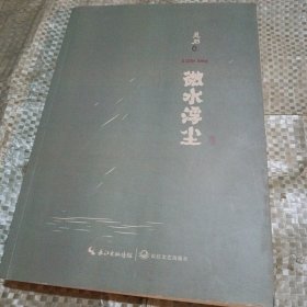 微水浮尘