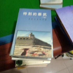 特別的崇武上下