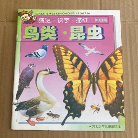 鸟类 昆虫