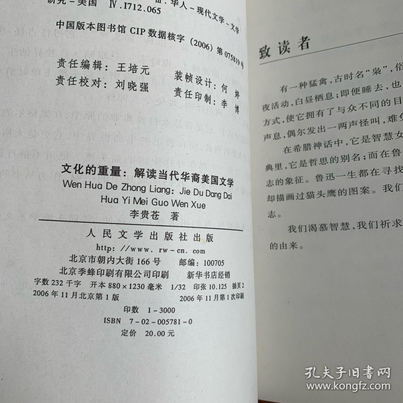 文化的重量：解读当代华裔美国文学