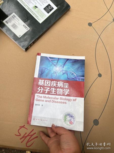 基因疾病的分子生物学