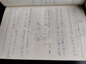 中国共青团学习 共青团重庆大学第七次代表大会1978 日记本