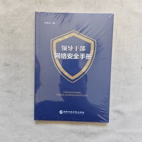 领导干部网络安全手册（孙宝云博士系统解读网络安全治理现状及存在问题）