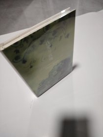 夜莺与玫瑰：王尔德童话全集