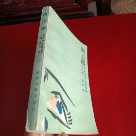 向上爬