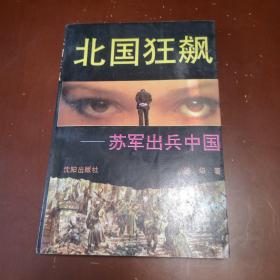 北国狂飙:苏军出兵中国