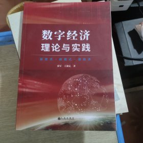 数字经济 理论与实践