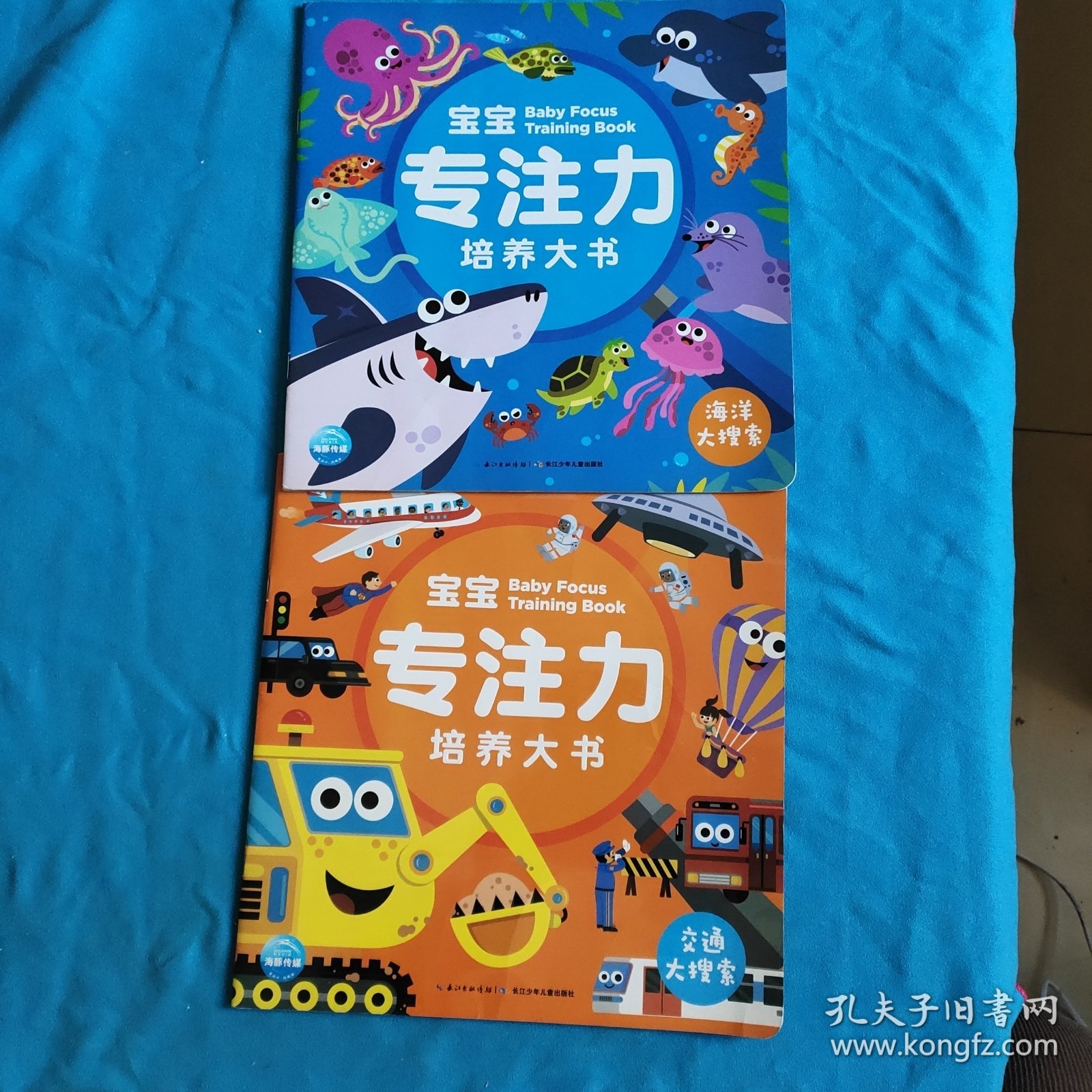 3-6岁宝宝专注力培养大书：海洋大搜索，交通大搜索（2册合售）