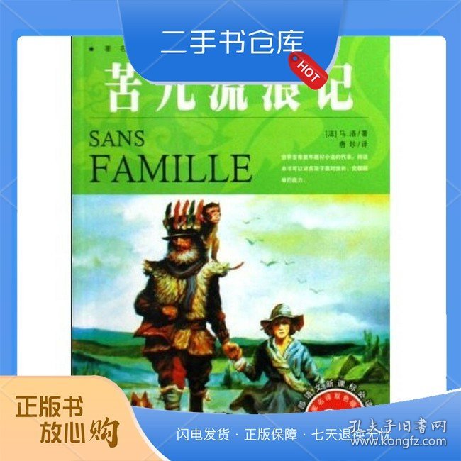 名家名译·世界文学名著宝库：苦儿流浪记