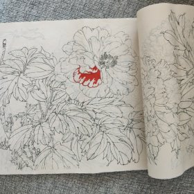 白描牡丹 (天津艺术学院工艺美术系教材组 )