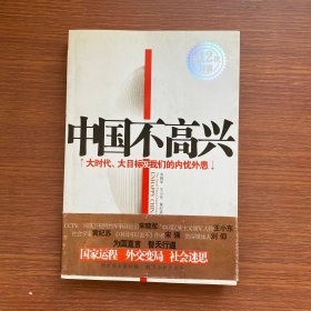 中国不高兴：大时代大目标及我们的内忧外患