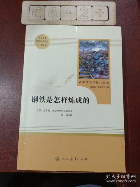 统编语文教材配套阅读 八年级下：钢铁是怎样炼成的/名著阅读课程化丛书