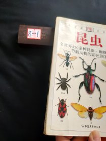 昆虫：全世界550多种昆虫、蜘蛛和陆生节肢动物的彩色图鉴