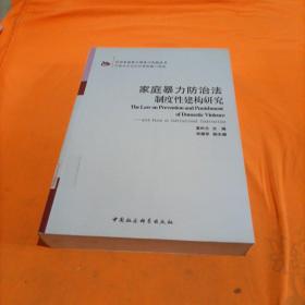 反对家庭暴力理论与实践丛书：家庭暴力防治法制度性建构研究