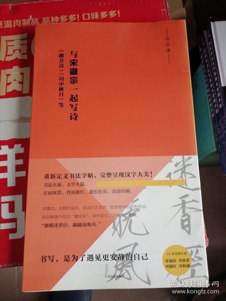 写字课·与宋徽宗一起写诗：《秾芳诗》《闰中秋月》等