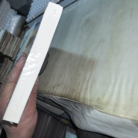 名叫月光的骏马