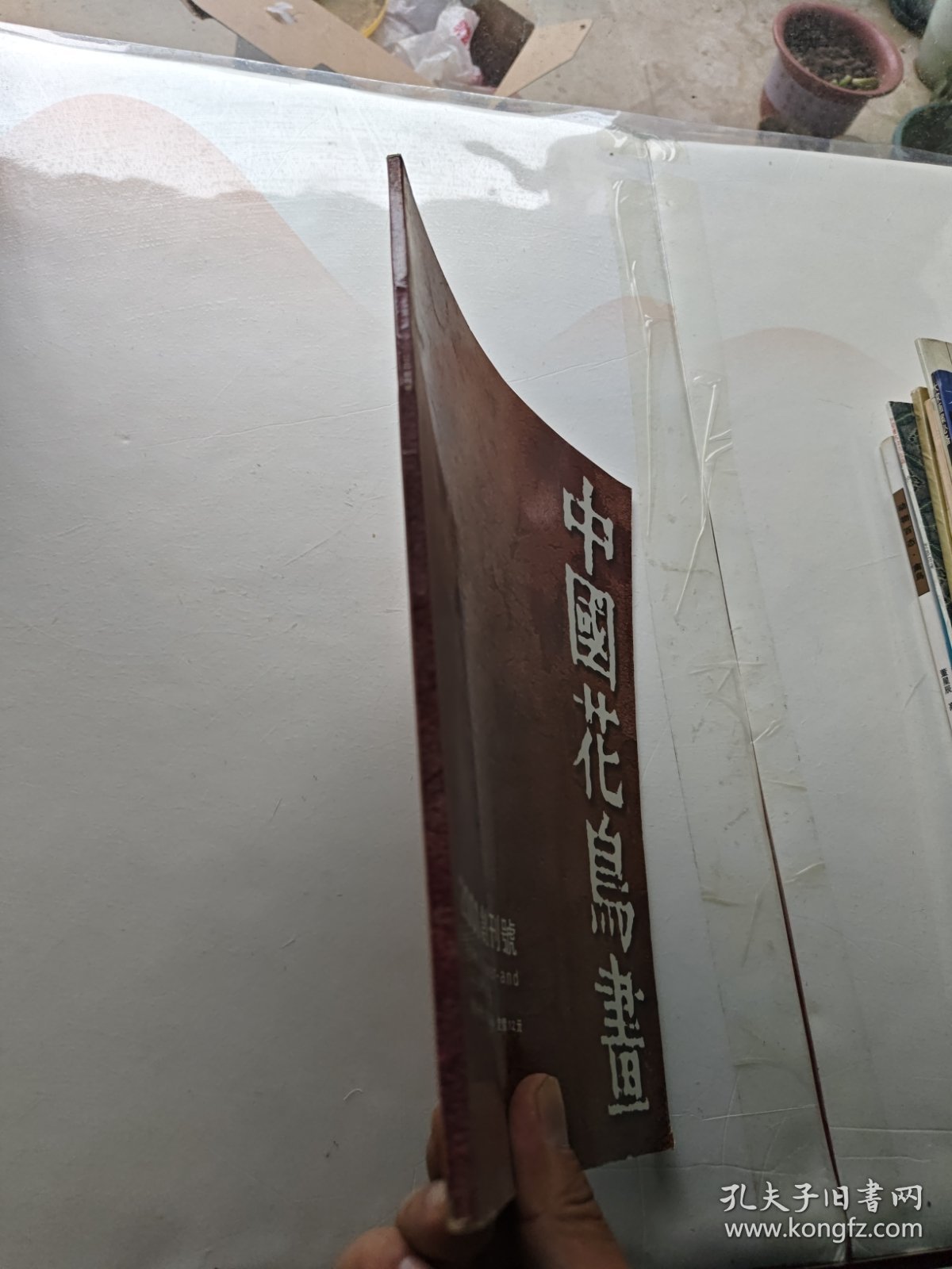 点击查看原图 中国花鸟画 1996年总第1期 创刊号