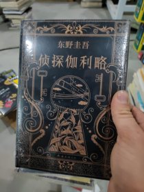 东野圭吾神探伽利略小说