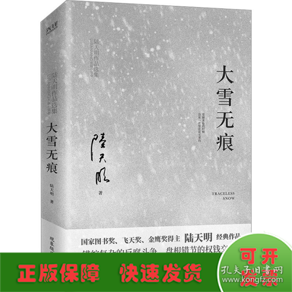 大雪无痕（飞天奖、金鹰奖得主陆天明经典作品，现象级电视剧《大雪无痕》原著小说）