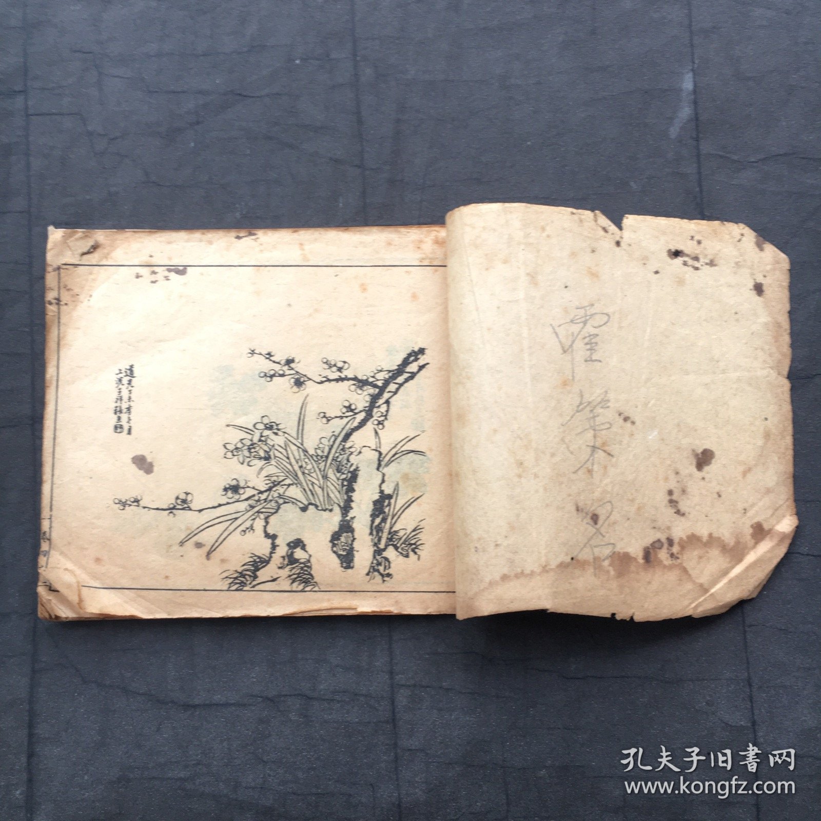 花卉画谱 卷四 【清末初国线装本、15x13cm、24开】民国老画谱 老画册 老画刊