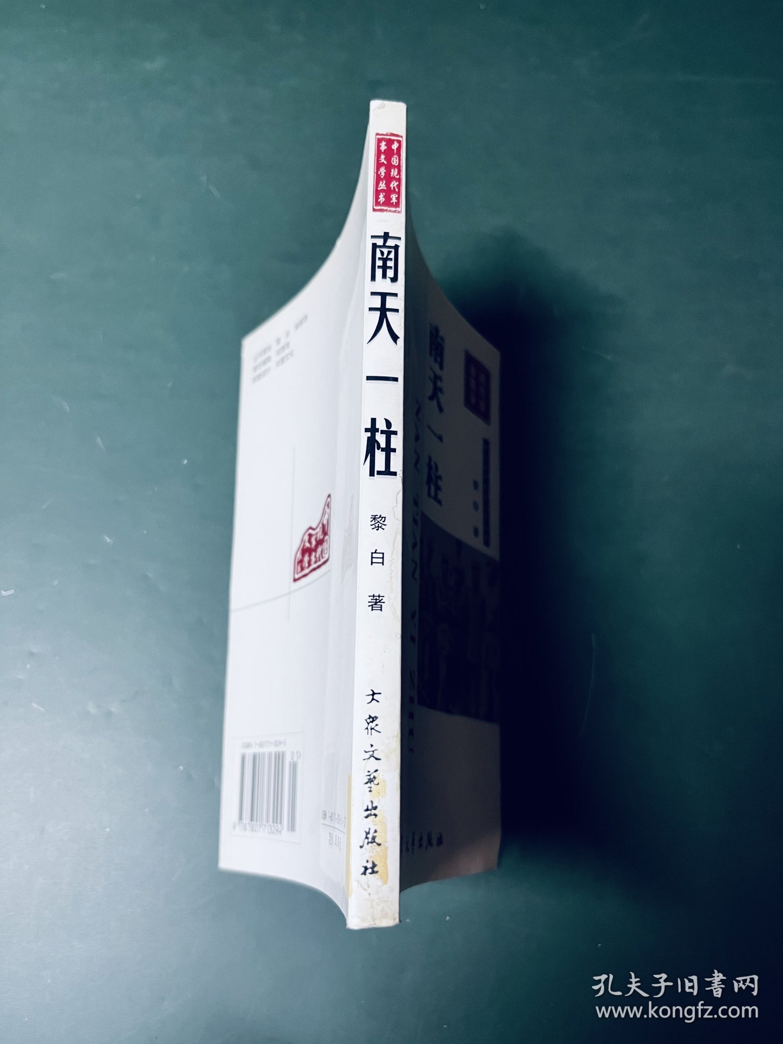 中国现代军事文学丛书· 国内革命战争：南天一柱